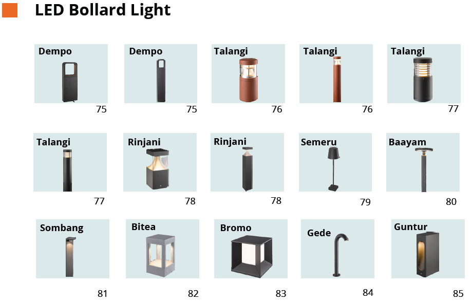 LED Bollar Light