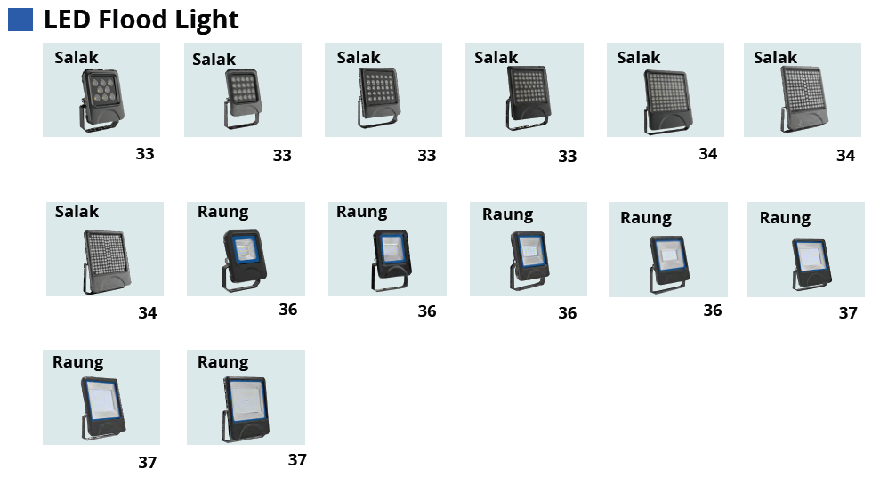 LED Flood Light