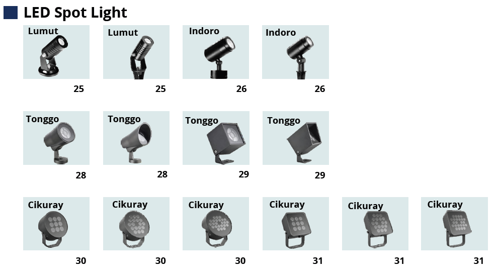 LED Spot Light